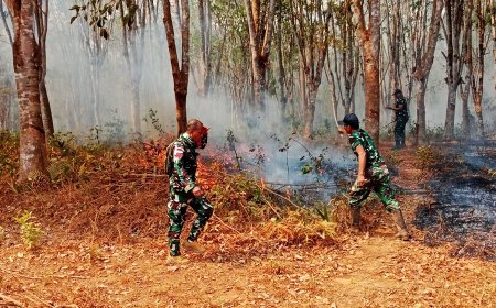 Babinsa Bergerak Cepat, Padamkan Kebakaran Lahan Karet di Muting Merauke