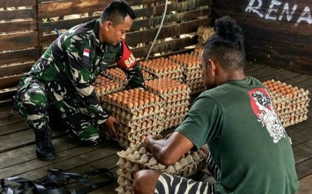 Babinsa Arso Dorong Peternakan Ayam Jadi Penggerak Ekonomi Warga