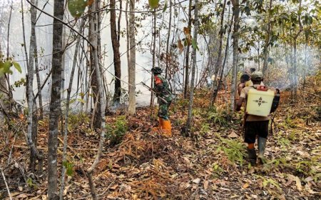 Babinsa Bersama Masyarakat, Bergerak Cepat Padamkan Karhutla di Bupul Indah