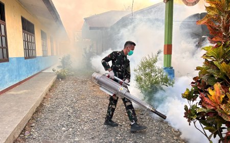 Cegah DBD dan Malaria, Yonif TP 860/NSK Lakukan Fogging di SD Inpres SP IV Botawa