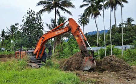 Satgas TMMD ke-130 Kodim 1701/Jayapura Buka 1 Hektare Lahan Pertanian di Sentani Barat