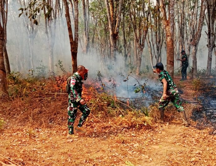 Babinsa Bergerak Cepat, Padamkan Kebakaran Lahan Karet di Muting Merauke