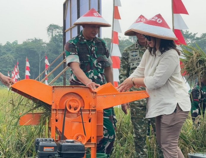 Panen Raya Padi Bukti Komitmen Yonif TP 820/DAAI Dukung Ketahanan Pangan