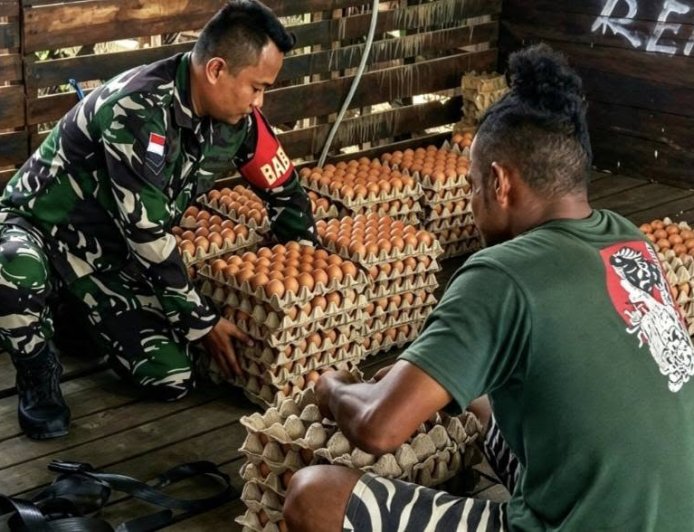 Babinsa Arso Dorong Peternakan Ayam Jadi Penggerak Ekonomi Warga