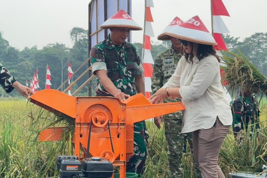 Panen Raya Padi Bukti Komitmen Yonif TP 820/DAAI Dukung Ketahanan Pangan