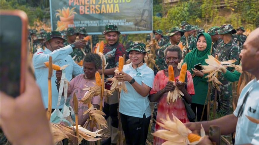 Yonif TP 809/NTM dan Bupati Sarmi Gelar Panen Raya Jagung Bersama Masyarakat