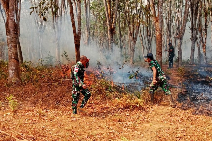 Babinsa Bergerak Cepat, Padamkan Kebakaran Lahan Karet di Muting Merauke