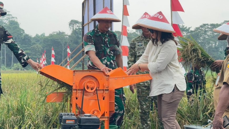 Panen Raya Padi Bukti Komitmen Yonif TP 820/DAAI Dukung Ketahanan Pangan