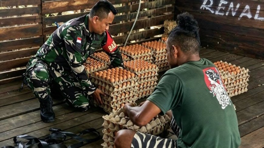 Babinsa Arso Dorong Peternakan Ayam Jadi Penggerak Ekonomi Warga
