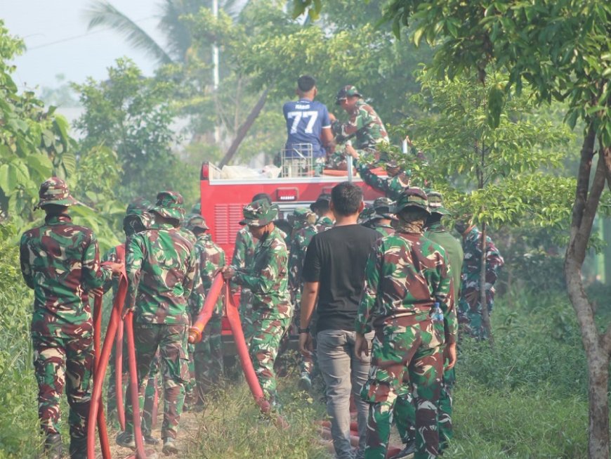 Sigap Tangani Karhutla, Damkar Yonif TP 804/DBAY Berhasil Kendalikan Kebakaran Hutan dan Lahan di Nabire