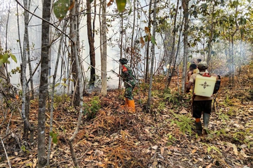 Babinsa Bersama Masyarakat, Bergerak Cepat Padamkan Karhutla di Bupul Indah